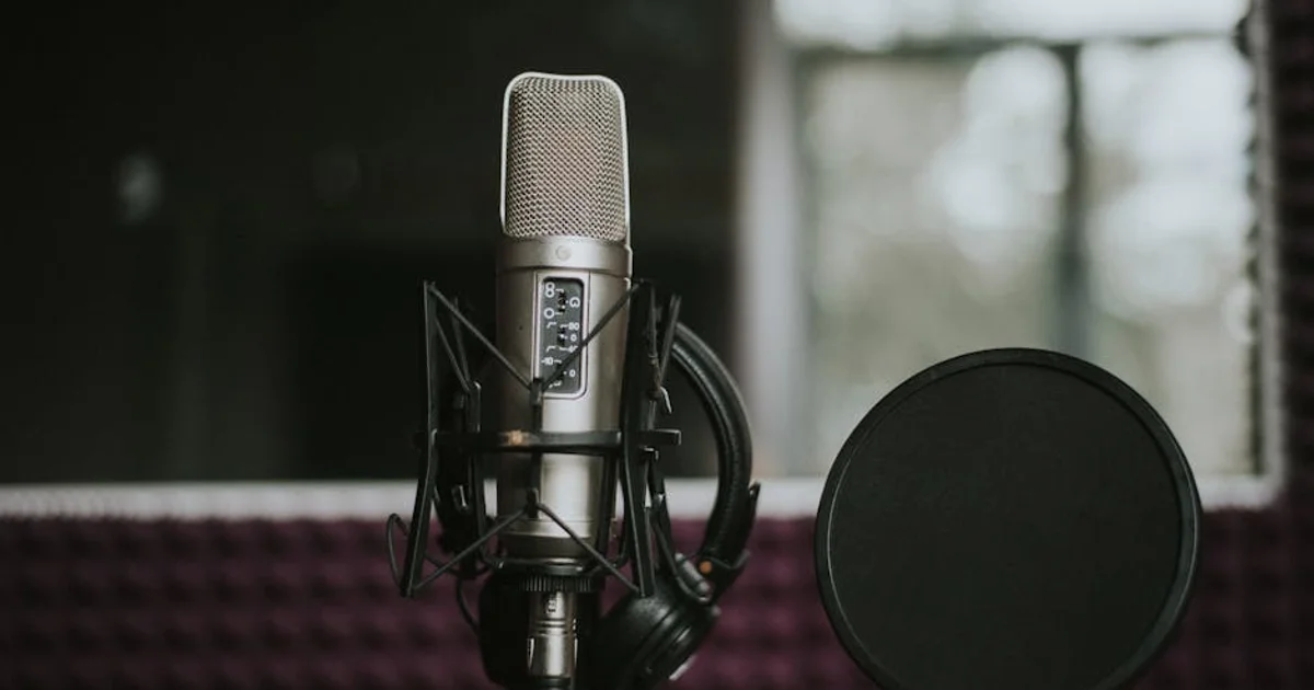 Beloved Sitcom Launches Voice Acting Careers