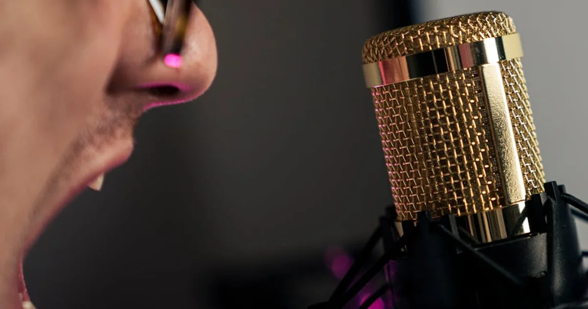 Mexican Voice Actress Gabriela Michel Dies at 65