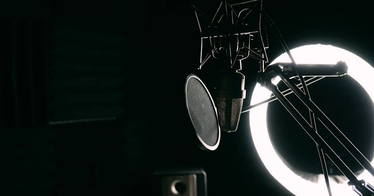 Revolutionary Anime Dub Sets New Standards High