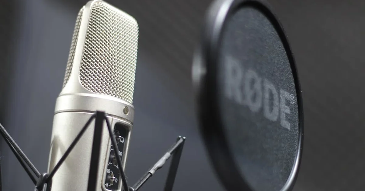 Unseen Voices: The Hidden Struggle of Voice Acting